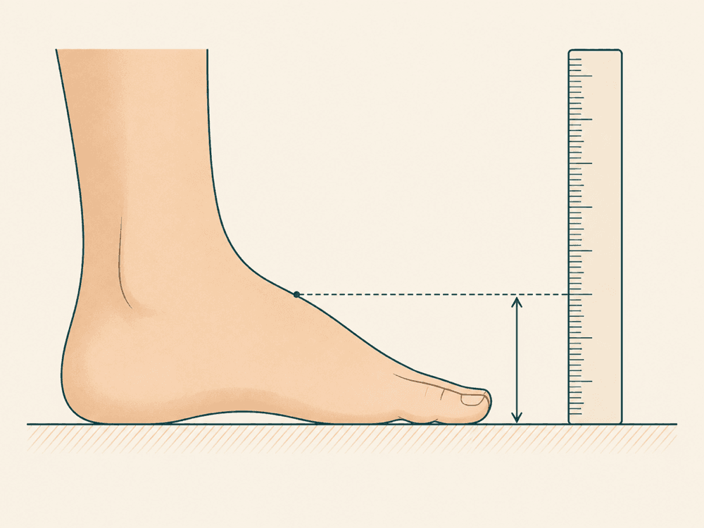 Side view of a foot flat on the floor with a vertical ruler measuring from the floor to the highest point of the arch